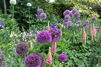 Arundel Castle and gardens