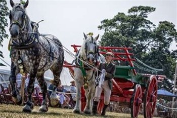 National Country Show Live, Essex