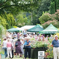 Great Comp Gardens and Summer Show