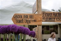 Hyde Hall Flower Show  (RHS)