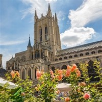 St. Edmondsbury Cathedral Flower Exhibition 