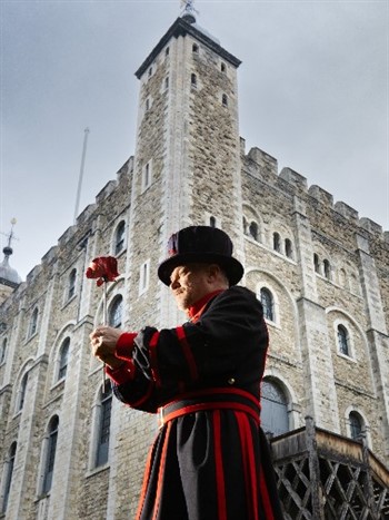Poppies at the Tower to mark the 80th anniversary 